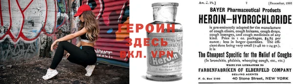 стаф Алексин
