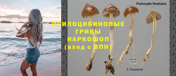 дмт Алзамай